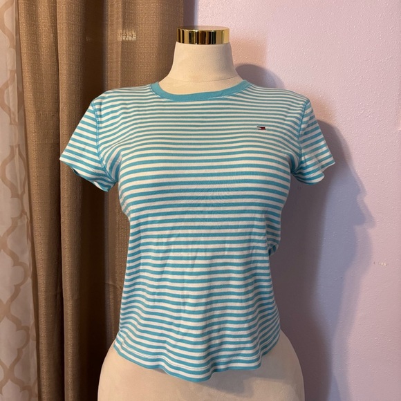 Tommy Hilfiger Blue and White Striped Short Sleeve Tee - Picture 1 of 3